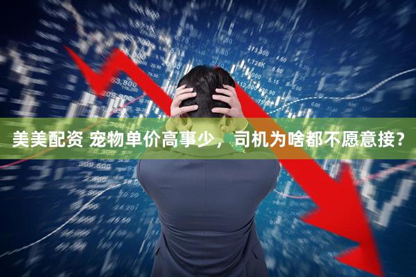 美美配资 宠物单价高事少，司机为啥都不愿意接？