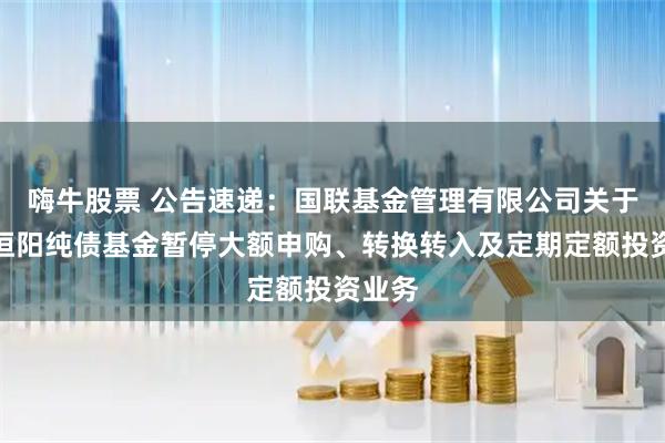 嗨牛股票 公告速递：国联基金管理有限公司关于国联恒阳纯债基金暂停大额申购、转换转入及定期定额投资业务