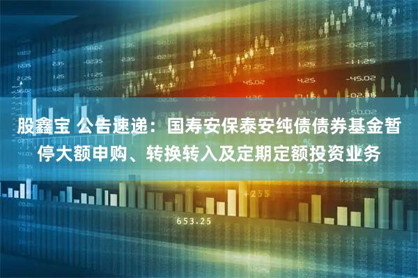 股鑫宝 公告速递：国寿安保泰安纯债债券基金暂停大额申购、转换转入及定期定额投资业务