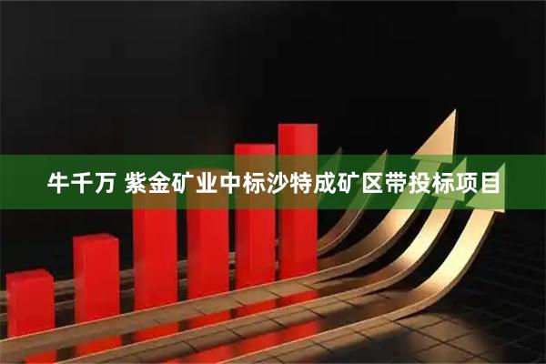 牛千万 紫金矿业中标沙特成矿区带投标项目