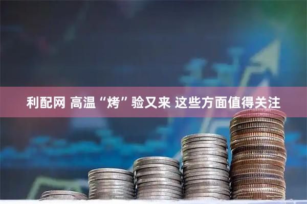 利配网 高温“烤”验又来 这些方面值得关注