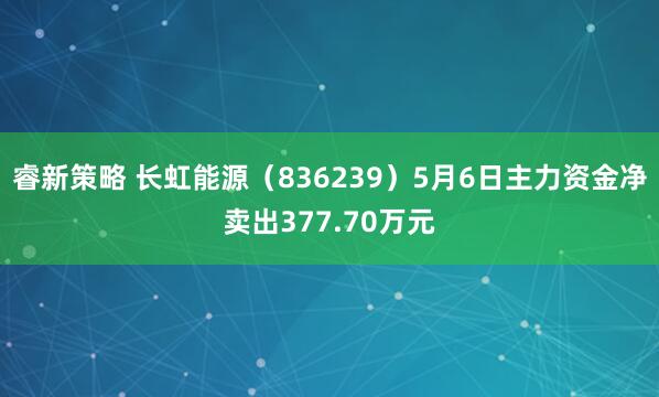 睿新策略 长虹能源（836239）5月6日主力资金净卖出377.70万元